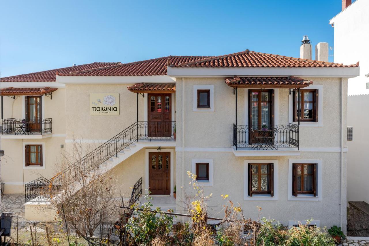 Hotel Paeonia Arachova Extérieur photo